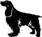 Spaniel.wmf (4444 bytes)
